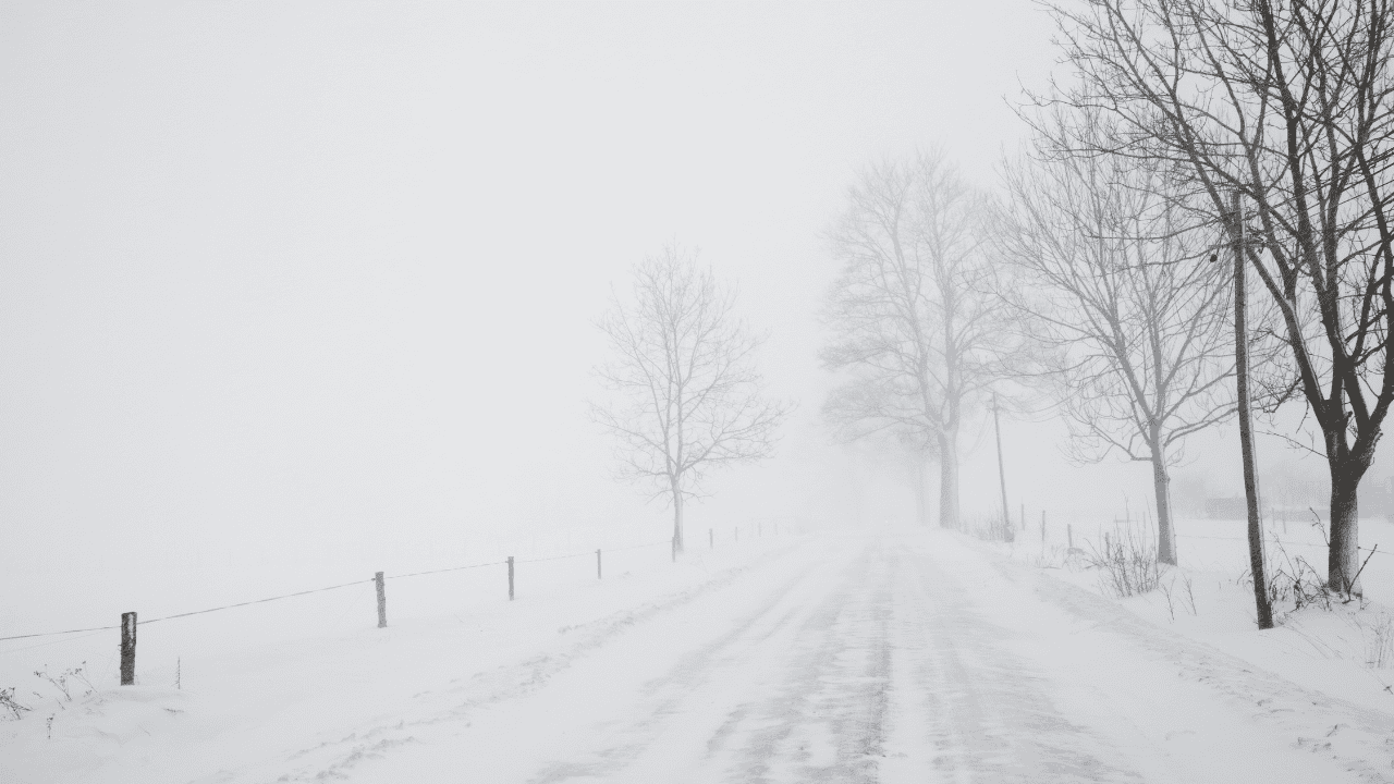 snowstorm, storm, snow, blizzard, power, outage, one meter, cold, winter, buried, deep, Ontario.