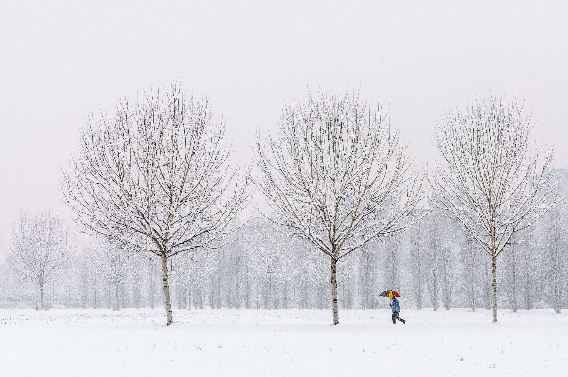 Snow forecast multiple days next week in the GTA and Ontario | insauga