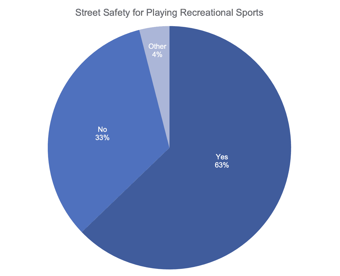 street hockey survey mississauga