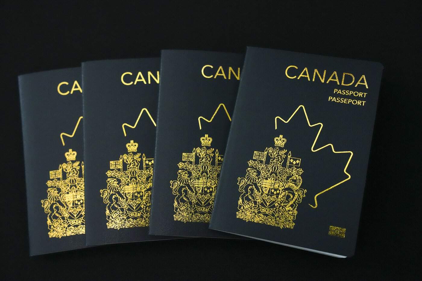 Mail strike leaves over 80,000 Canadian passports waiting for delivery in Mississauga