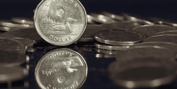 canadian dollar, loonie