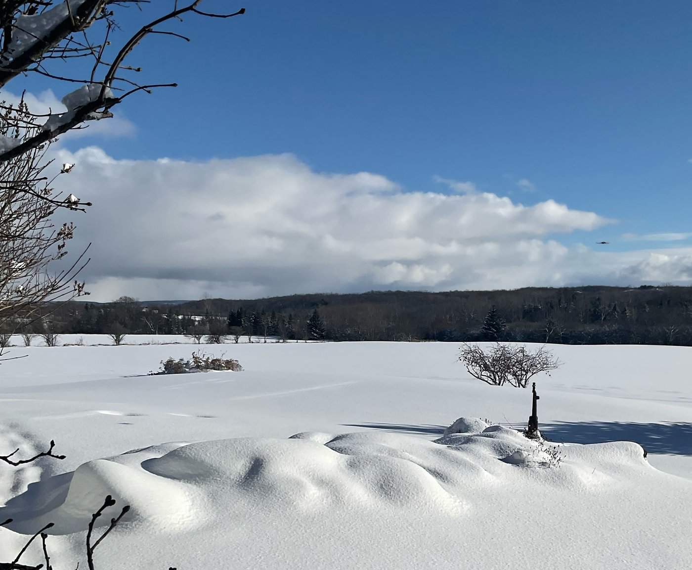 more snow ontario