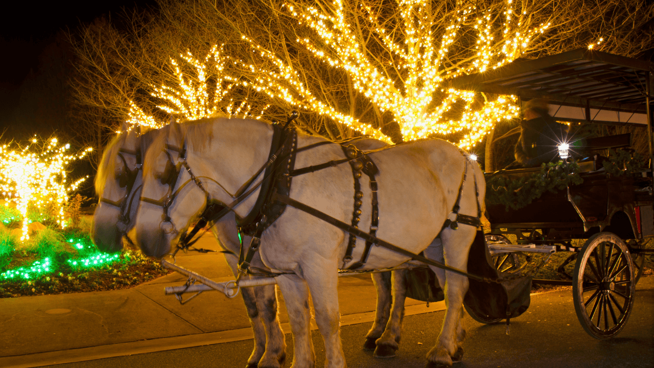 Christmas, carriage, rides, tree, lighting, shopping, family, concerts, food, music, show, dance, streetcar, train, gifts, markets, holiday, entertainment, season, winter, Oakville, Milton, Burlington, Halton.