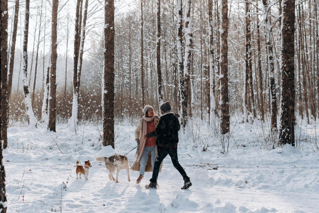 More snow forecast this weekend in southern Ontario INsauga