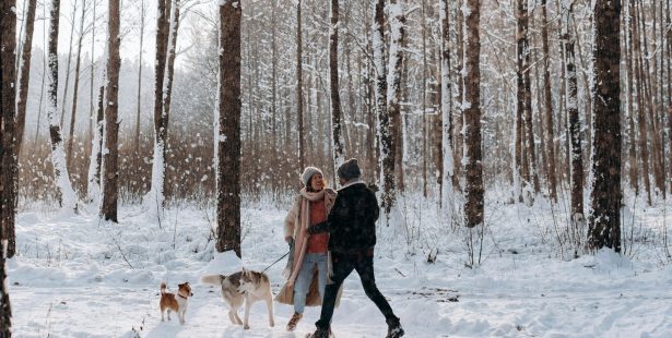 Dec. 31 weather: Over 10 cm of snow possible on New Year's Day in southern Ontario