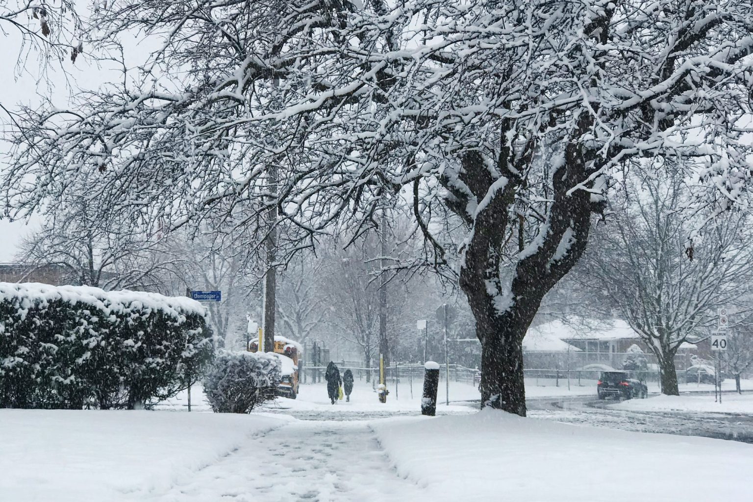 Up to 10 cm of snow expected in the GTA and southern Ontario INsauga