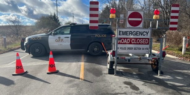 train car crash caledon