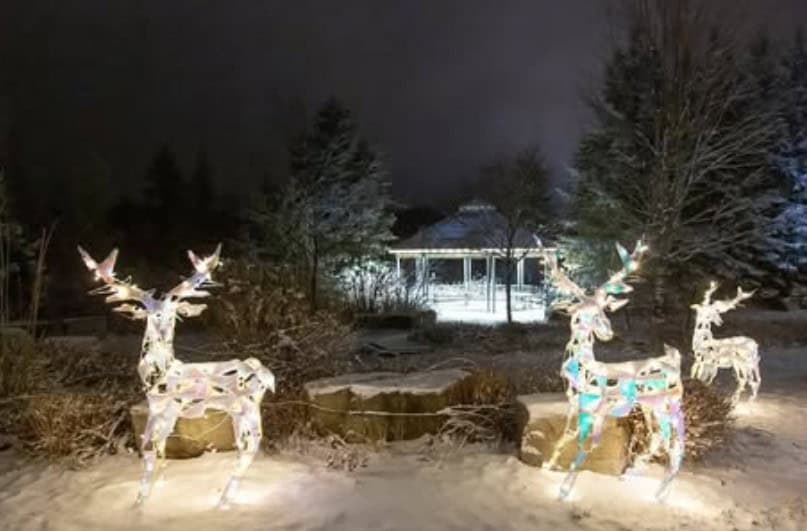 WinterFest Celebration brings free skating, music and more this weekend to Caledon